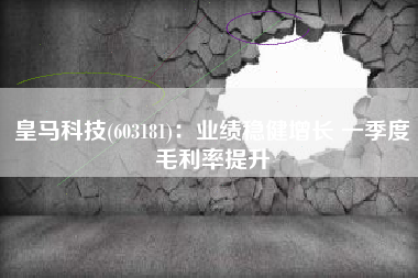 皇马科技(603181)：业绩稳健增长 一季度毛利率提升