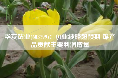 华友钴业(603799)：Q1业绩略超预期 镍产品贡献主要利润增量