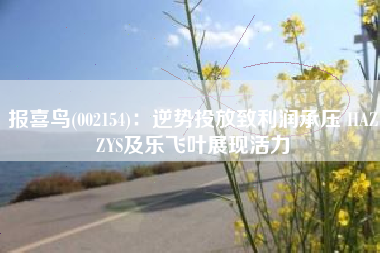 报喜鸟(002154)：逆势投放致利润承压 HAZZYS及乐飞叶展现活力