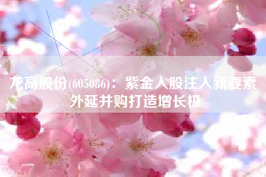 龙高股份(605086)：紫金入股注入新要素 外延并购打造增长极