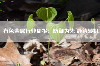 有色金属行业周报：防御为先 静待转机