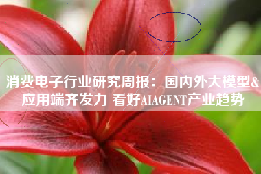消费电子行业研究周报：国内外大模型&应用端齐发力 看好AIAGENT产业趋势