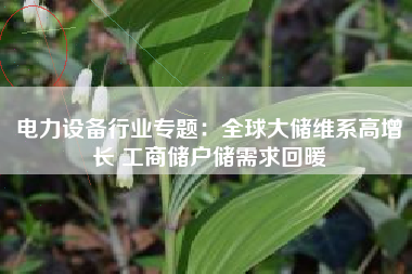 电力设备行业专题：全球大储维系高增长 工商储户储需求回暖