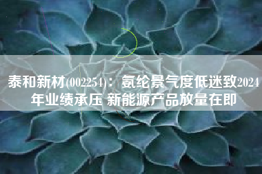 泰和新材(002254)：氨纶景气度低迷致2024年业绩承压 新能源产品放量在即