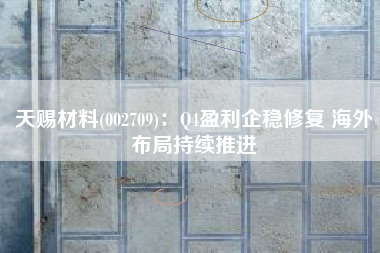 天赐材料(002709)：Q4盈利企稳修复 海外布局持续推进
