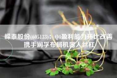 嵘泰股份(605133)：Q4盈利能力环比改善 携手润孚布局机器人丝杠