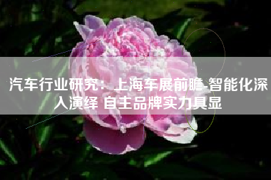 汽车行业研究：上海车展前瞻-智能化深入演绎 自主品牌实力具显