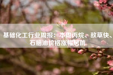 基础化工行业周报：本周丙烷、敌草快、石脑油价格涨幅居前
