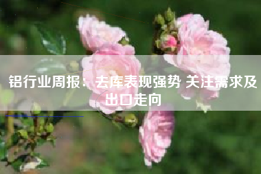 铝行业周报：去库表现强势 关注需求及出口走向