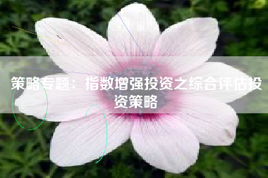 策略专题：指数增强投资之综合评估投资策略