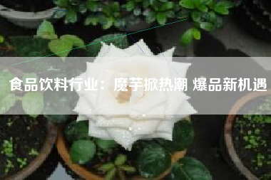 食品饮料行业:魔芋掀热潮 爆品新机遇 食品饮料行业:魔芋掀热潮 爆品新机遇