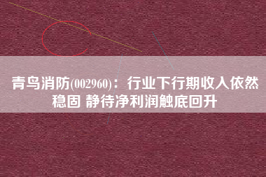青鸟消防(002960)：行业下行期收入依然稳固 静待净利润触底回升