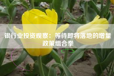 银行业投资观察：等待即将落地的增量政策组合拳