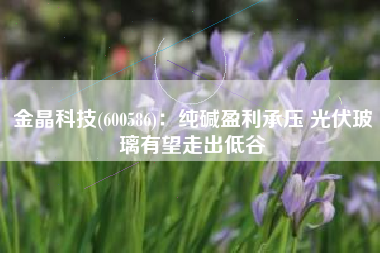 金晶科技(600586)：纯碱盈利承压 光伏玻璃有望走出低谷