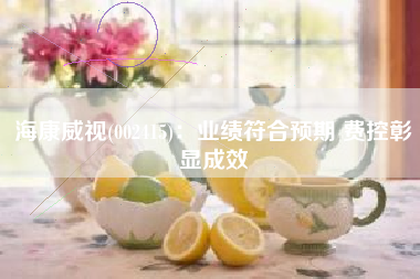海康威视(002415)：业绩符合预期 费控彰显成效