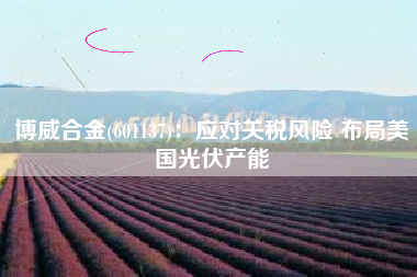 博威合金(601137)：应对关税风险 布局美国光伏产能