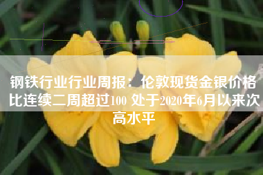 钢铁行业行业周报：伦敦现货金银价格比连续二周超过100 处于2020年6月以来次高水平