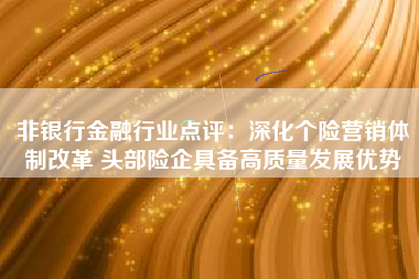 非银行金融行业点评：深化个险营销体制改革 头部险企具备高质量发展优势