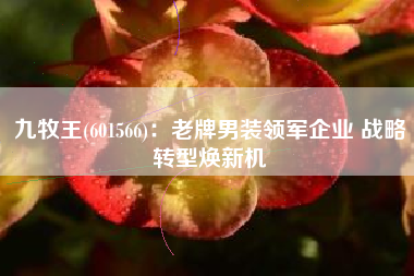 九牧王(601566)：老牌男装领军企业 战略转型焕新机