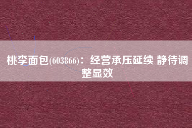 桃李面包(603866)：经营承压延续 静待调整显效