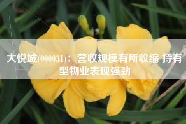 大悦城(000031)：营收规模有所收缩 持有型物业表现强劲