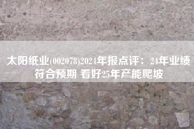 太阳纸业(002078)2024年报点评：24年业绩符合预期 看好25年产能爬坡