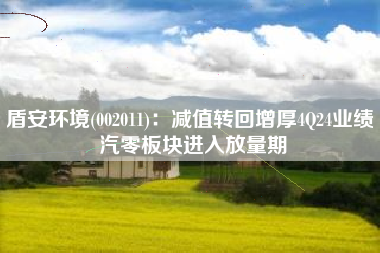 盾安环境(002011)：减值转回增厚4Q24业绩 汽零板块进入放量期
