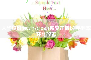 大华股份(002236)：25Q1恢复正增长 毛利率环比改善