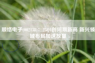 顺络电子(002138)：25Q1创同期新高 新兴领域布局加速放量