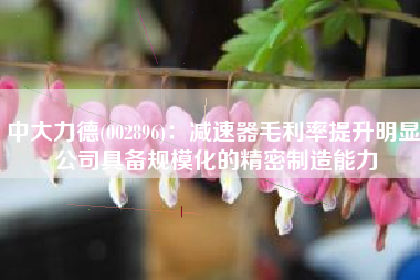 中大力德(002896)：减速器毛利率提升明显 公司具备规模化的精密制造能力
