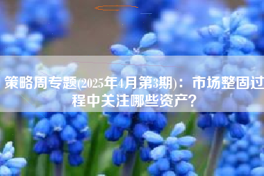 策略周专题(2025年4月第3期)：市场整固过程中关注哪些资产？