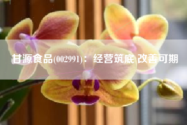甘源食品(002991)：经营筑底 改善可期
