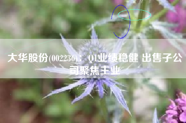 大华股份(002236)：Q1业绩稳健 出售子公司聚焦主业