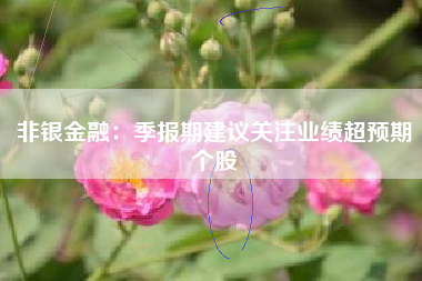 非银金融：季报期建议关注业绩超预期个股