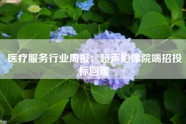 医疗服务行业周报：超声影像院端招投标回暖