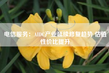 电信服务：AIDC产业延续修复趋势 估值性价比提升