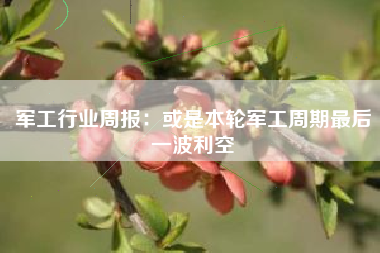 军工行业周报：或是本轮军工周期最后一波利空
