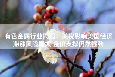 有色金属行业周报：关税影响美国经济滞涨风险增大 金价支撑仍然强劲