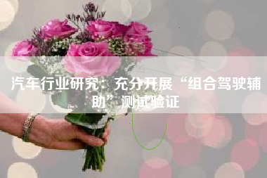 汽车行业研究：充分开展“组合驾驶辅助”测试验证