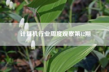 计算机行业周度观察第12期