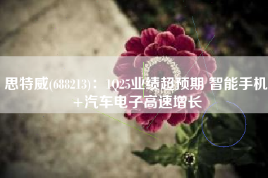 思特威(688213)：1Q25业绩超预期 智能手机+汽车电子高速增长