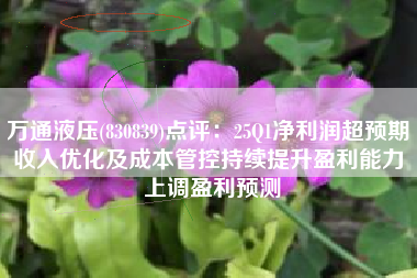 万通液压(830839)点评：25Q1净利润超预期 收入优化及成本管控持续提升盈利能力 上调盈利预测