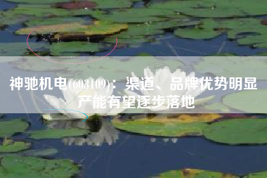神驰机电(603109)：渠道、品牌优势明显 产能有望逐步落地