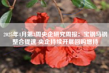 2025年4月第3周央企研究周报：宝钢马钢整合提速 央企持续开展回购增持