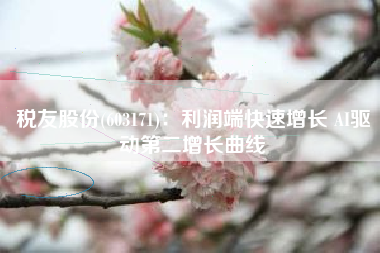 税友股份(603171)：利润端快速增长 AI驱动第二增长曲线
