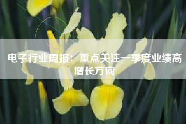 电子行业周报：重点关注一季度业绩高增长方向