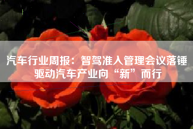 汽车行业周报：智驾准入管理会议落锤 驱动汽车产业向“新”而行