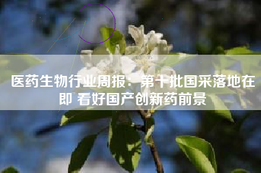 医药生物行业周报：第十批国采落地在即 看好国产创新药前景