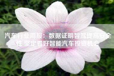 汽车行业周报：数据证明智驾提高安全性 坚定看好智能汽车投资机会