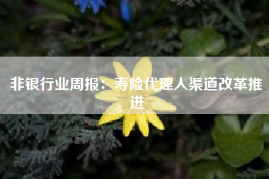 非银行业周报：寿险代理人渠道改革推进